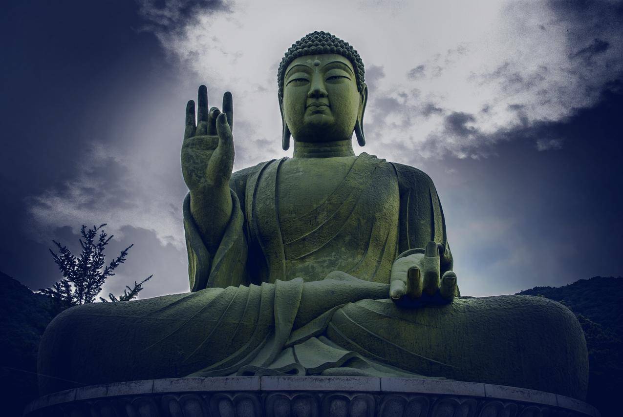 网红商城